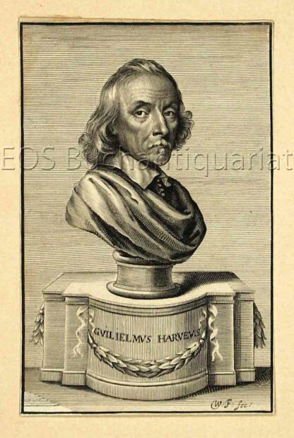 Harvey, William (1578-1657): - Engl. Mediziner (Anatom).