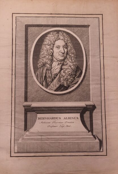 Albinus, Bernhard Siegrfied (1697-1770): - Dt. Mediziner (Anatom u. Chirurge)
