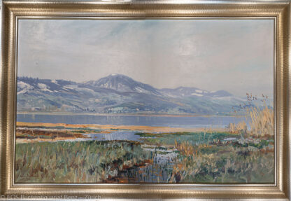 Burkhard, Heinrich Ernst; (1887 – 1970) - Zürichsee mit Etzel im Hintergrund.