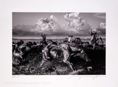 Alcantara, Araquem; (*1951). - Gauchos bei der Arbeit.