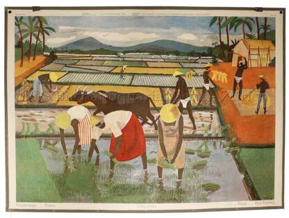 Item, Georges (1927–1990): - Reisplantage - Rizère - Orbis pictus - Risaia - Rice planting.