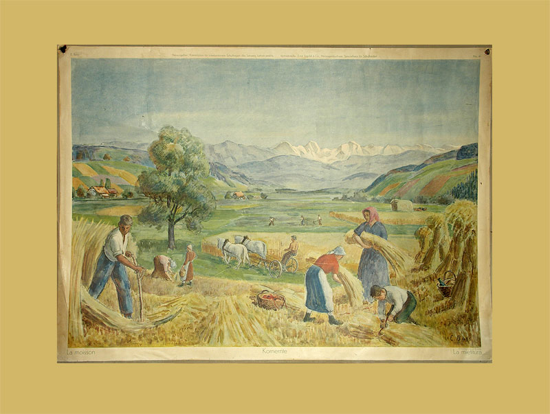 Boss, Eduard (1873 - 1958): - Kornernte.