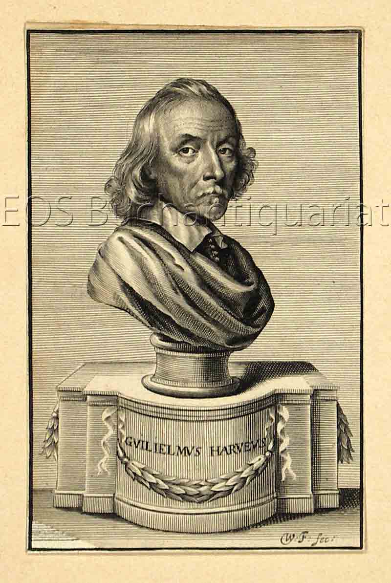 Harvey, William (1578-1657): - Engl. Mediziner (Anatom).