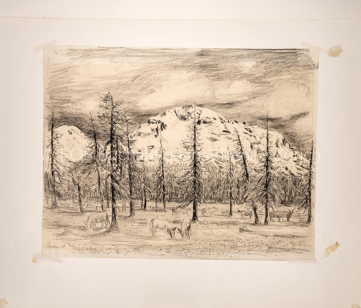 Meisser, Leonhard (1902–1977); - Wald- Berglandschaft bei Ftan.