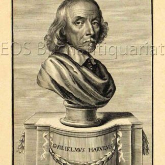 Harvey, William (1578-1657): - Engl. Mediziner (Anatom).