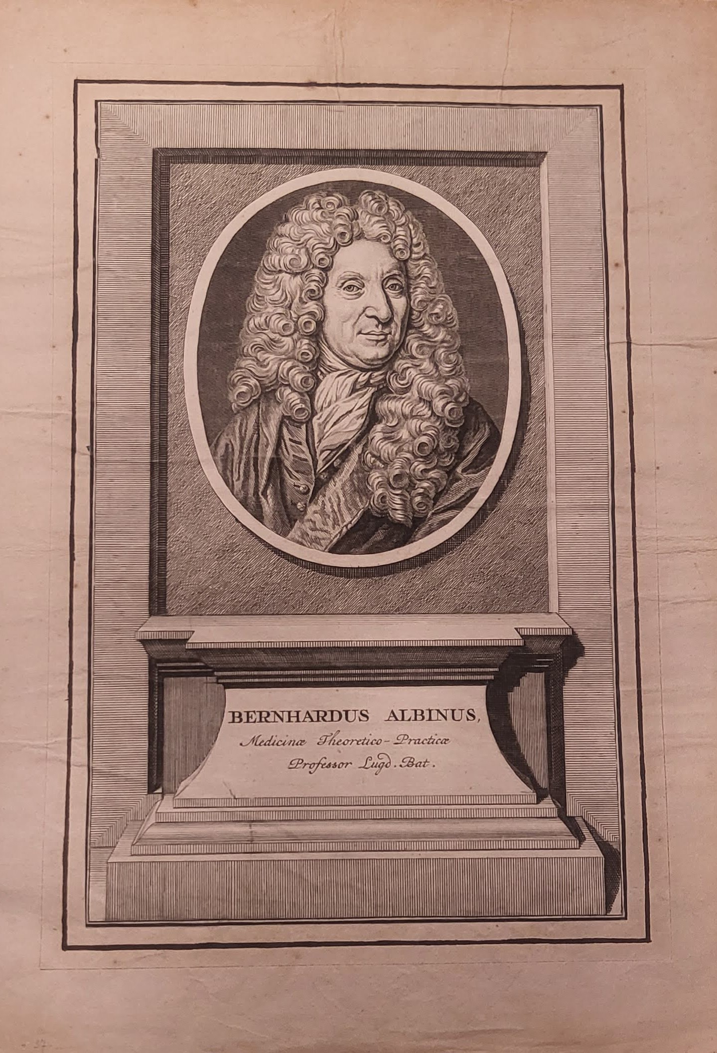 Albinus, Bernhard Siegrfied (1697-1770): - Dt. Mediziner (Anatom u. Chirurge)