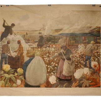 Hagdahl, Olle: - Bomull.