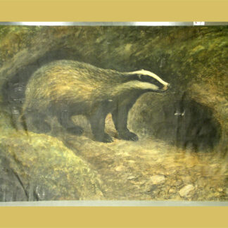 Tirén, Nils (1885-1935): Schwedischer Tiermaler. - Dachs.