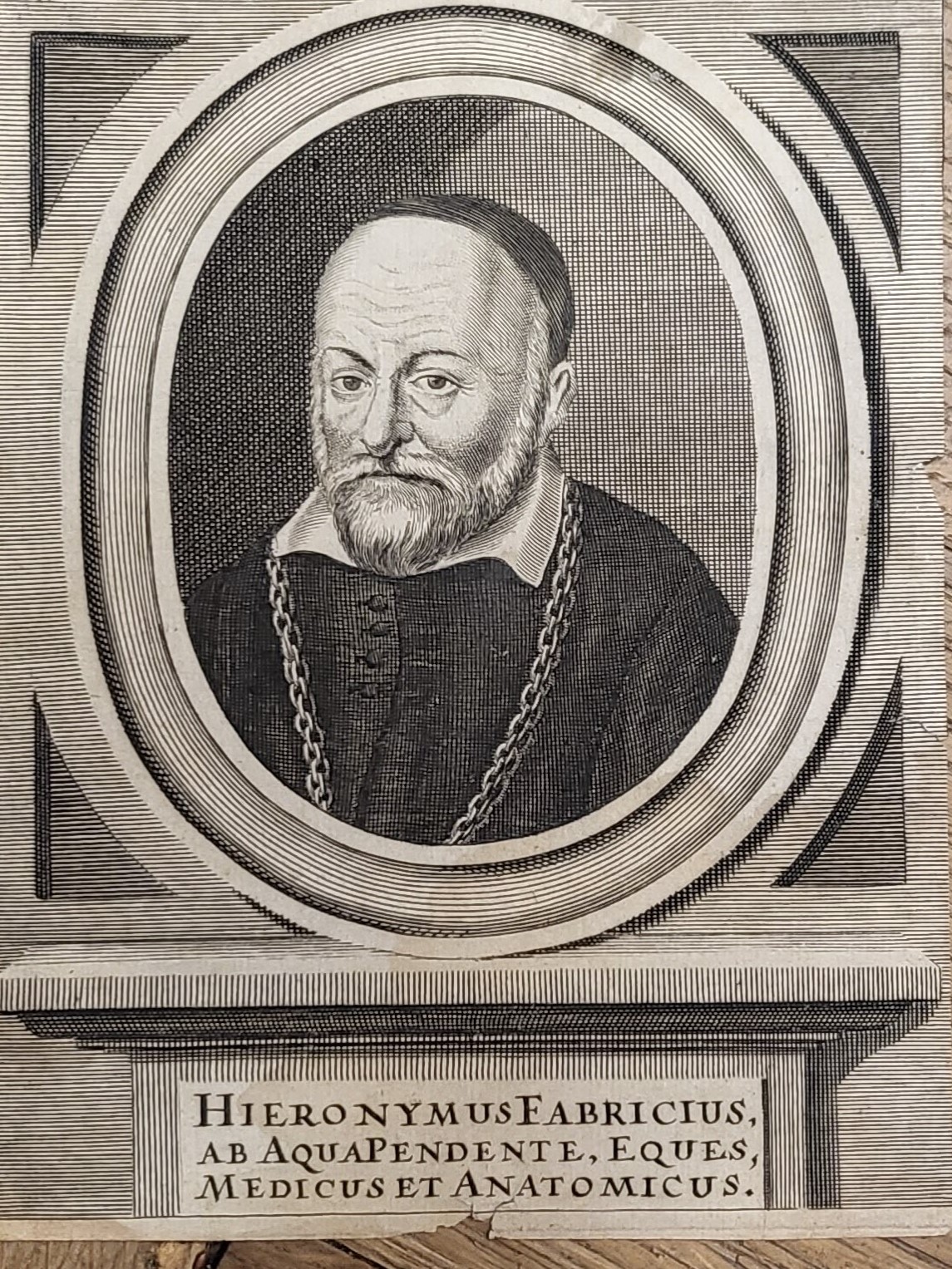 Fabricius, Hieronymus (1537-1619): - Ab AquaPendente eques medicus et antomicus.