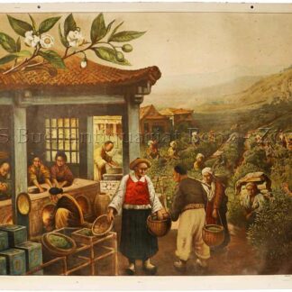 Bukasz, Frank (1836-1905): - Tee - Thea viridis.