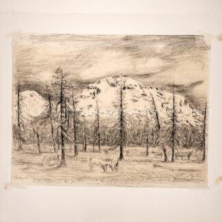 Meisser, Leonhard (1902–1977); - Wald- Berglandschaft bei Ftan.