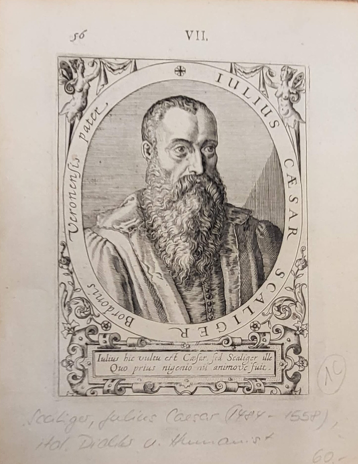 Scaliger, Julius Caesar (1484-1558): - Italien. Dichter u. Humanist.