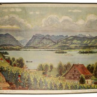Zbinden, Fritz (1896 - 1968): - Zürichseelandschaft - Lac de zürich - Paesaggio zurighese - Scene on the lake of zürich.