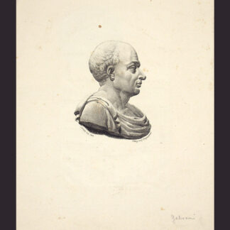 Galvani, Luigi  (1737-1798): - Ital. Arzt u. Naturforscher.