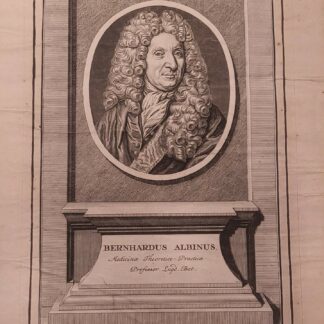 Albinus, Bernhard Siegrfied (1697-1770): - Dt. Mediziner (Anatom u. Chirurge)